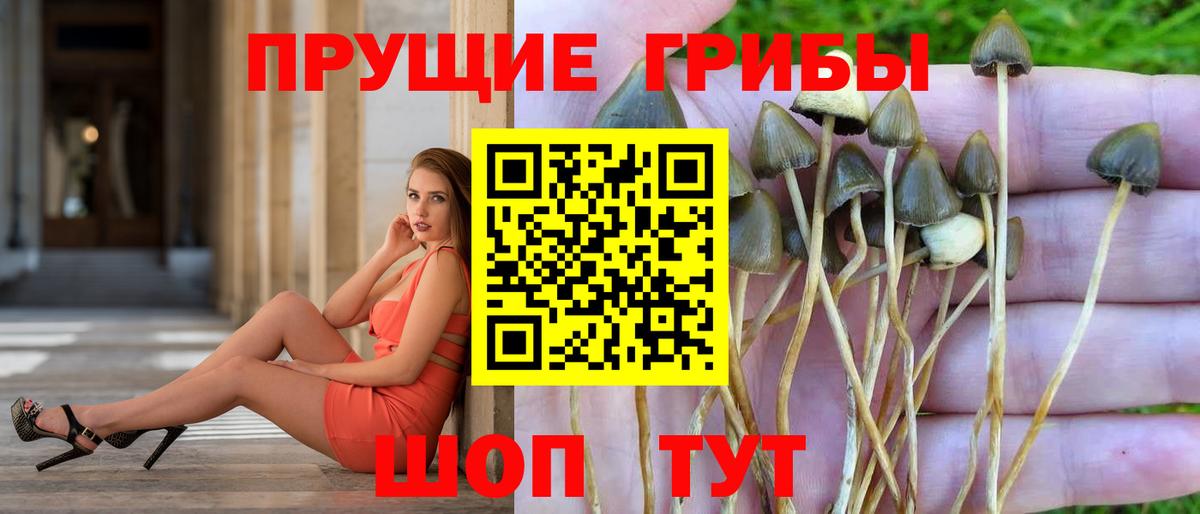 Псилоцибиновые грибы мухоморы  Вход с VPN  Грозный 
