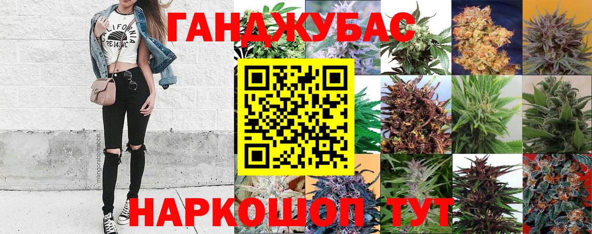 Шишки марихуана сатива Грозный
